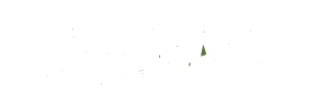LifeMaxx